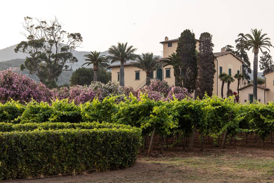 Tenuta la Chiusa