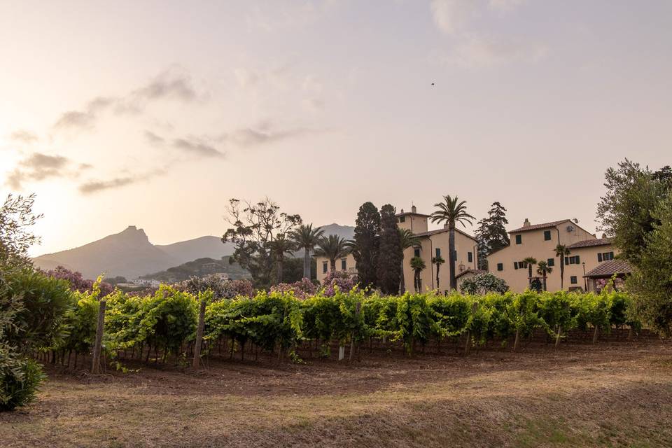 Tenuta la Chiusa