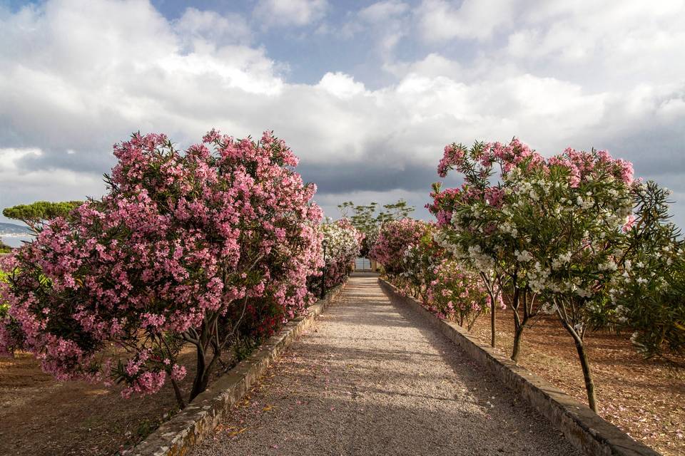 Tenuta la Chiusa
