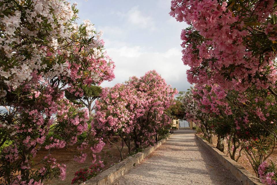 Tenuta la Chiusa