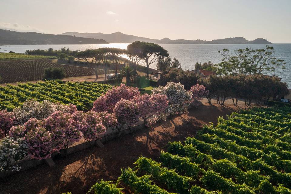 Tenuta la Chiusa