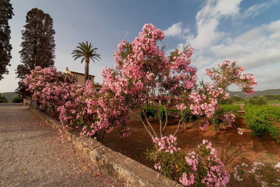 Tenuta la Chiusa
