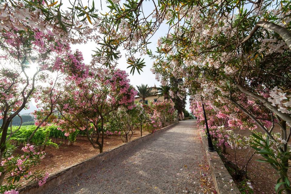 Tenuta la Chiusa