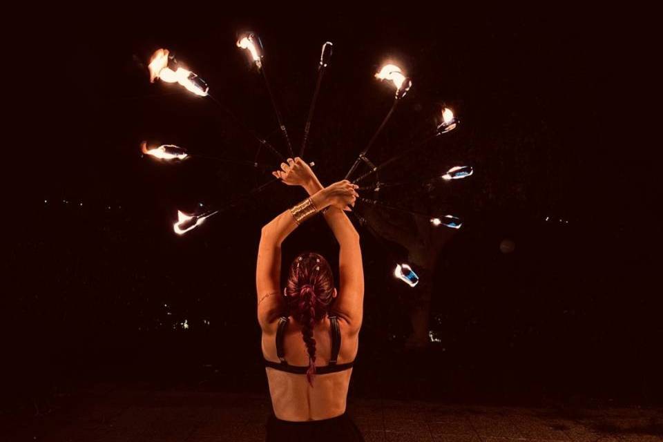 Eleganza