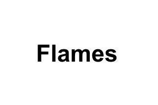 Flames logo