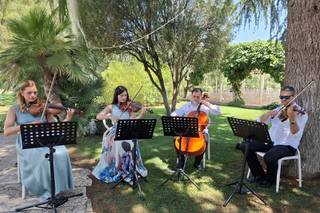 Quartetto d'archi - Quattro Quarti