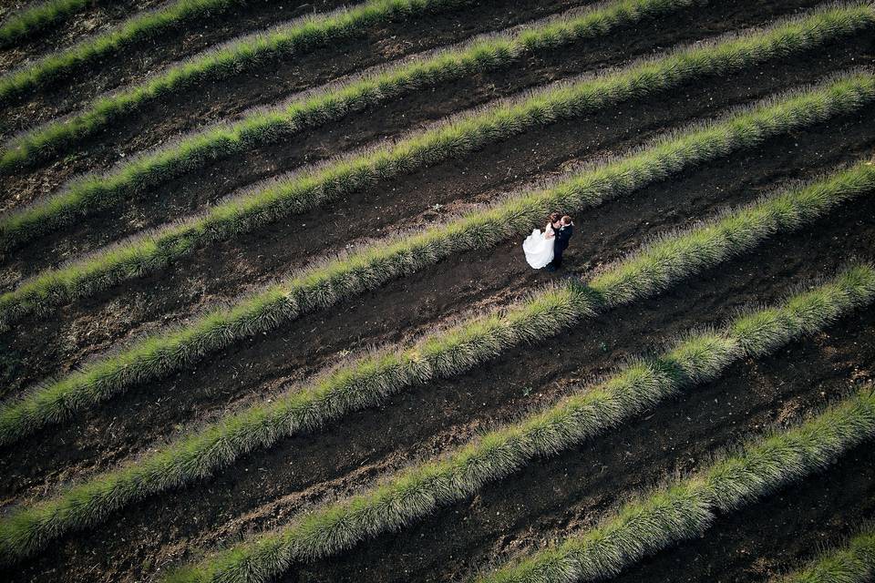 Inzinna Fotografi