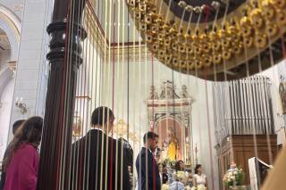The Harpist