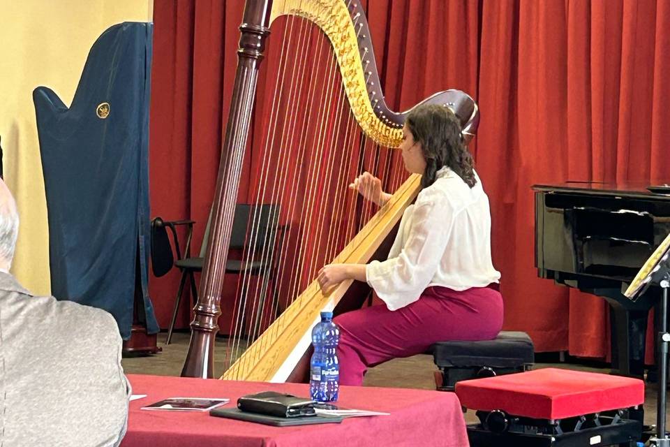 The Harpist