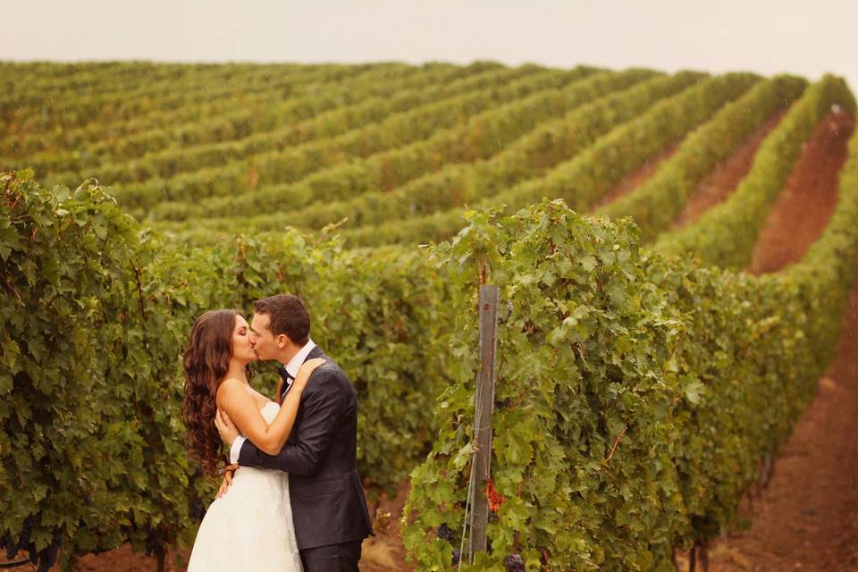 Wedding in Vineyard
