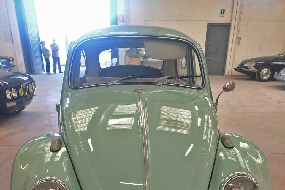 Maggiolino