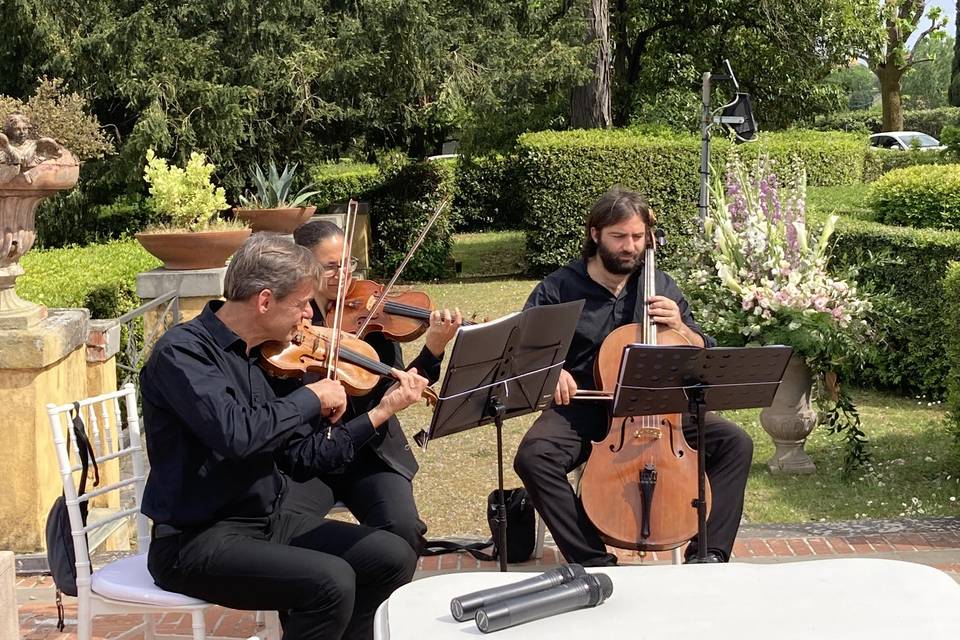 MusicalViolino Wedding Tuscany