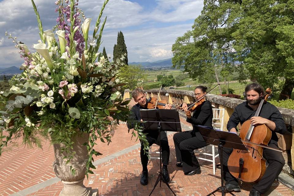 MusicalViolino Wedding Tuscany