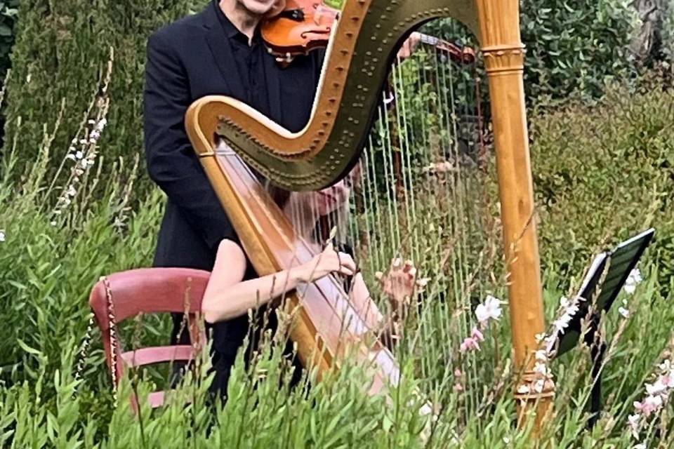 MusicalViolino Wedding Tuscany