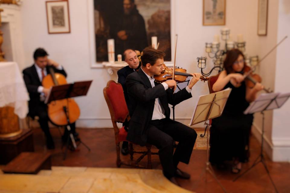 MusicalViolino Wedding Tuscany