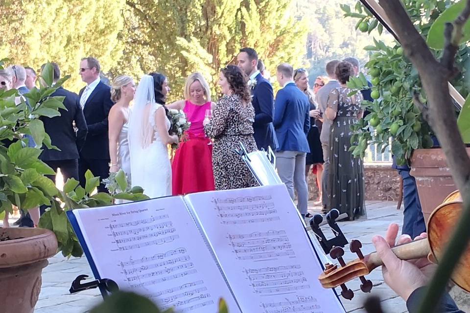 MusicalViolino Wedding Tuscany