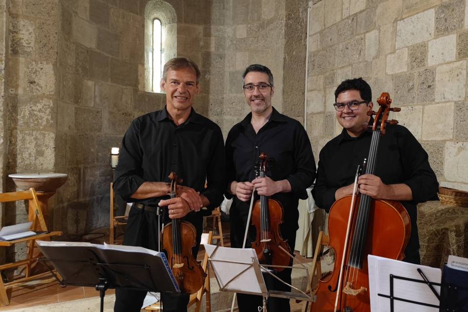 MusicalViolino Wedding Tuscany