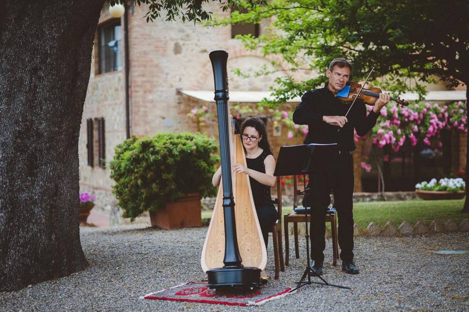 Violino e arpa musica magica