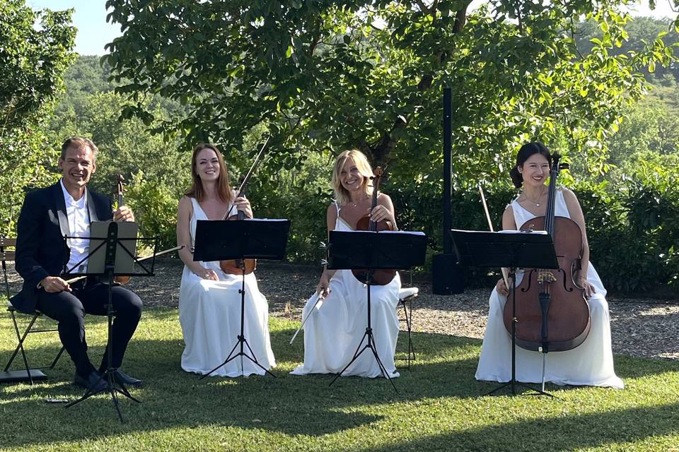 Wedding string quartet