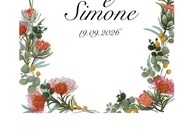 Holasara Illustration