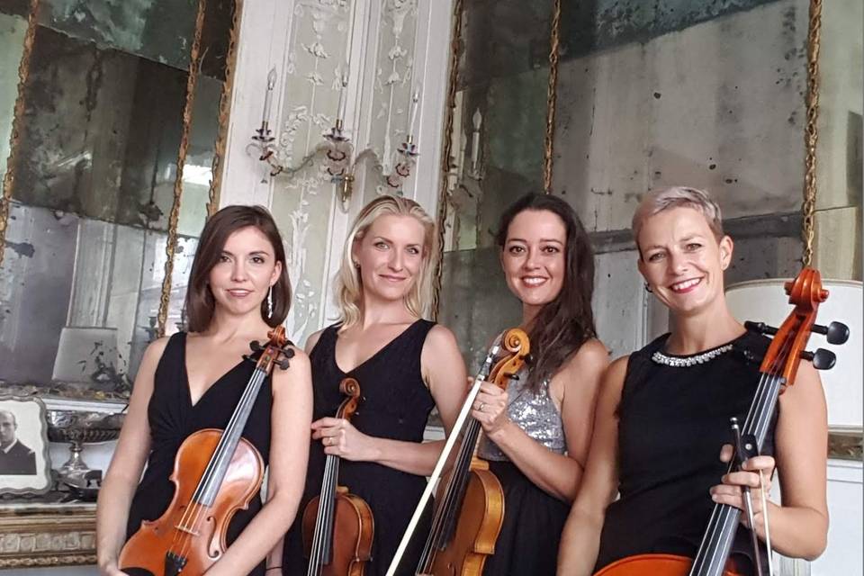 Pleiadi string quartet