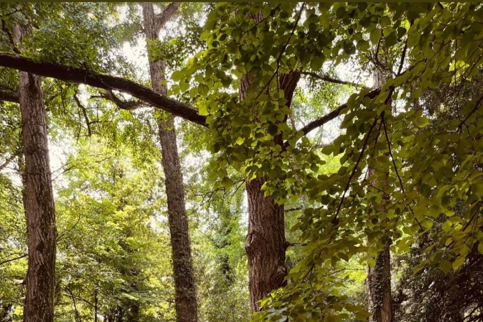 Cerimonia a parco frassanelle