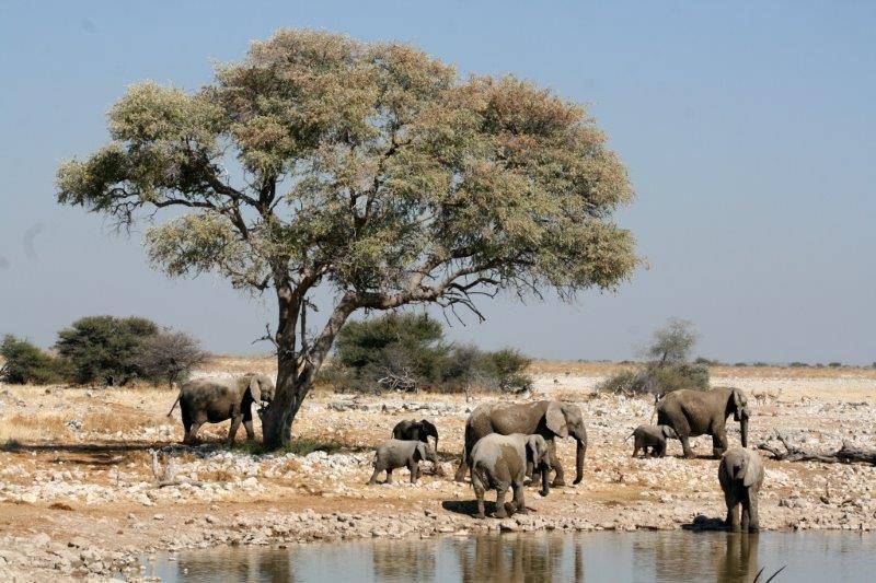 Namibia