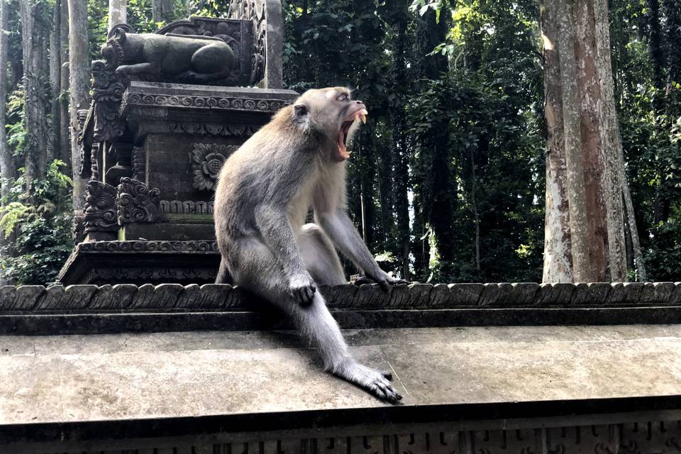 Accoglienza a Bali