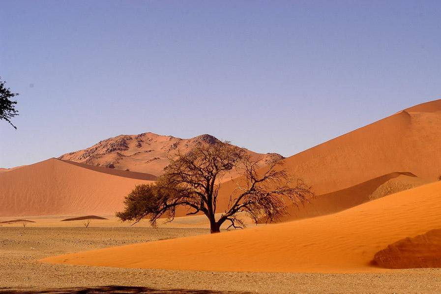 Africa - la natura selvaggia