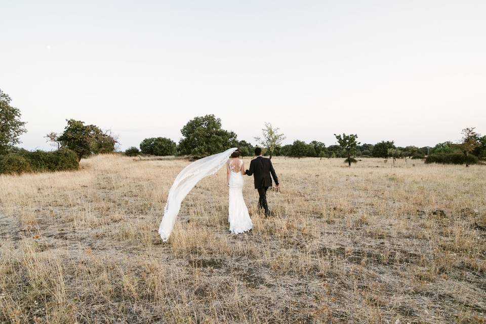 Foto di matrimonio