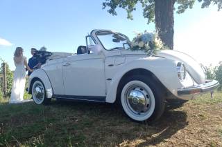 Vintage Wedding Cars