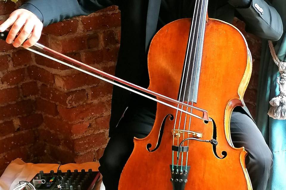 Violoncello