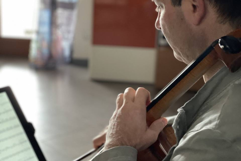 Violoncello
