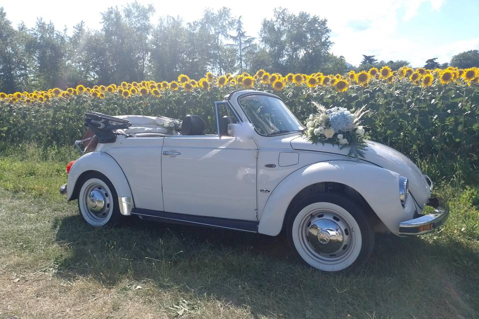 Vintage Wedding Cars - Consulta la disponibilità e i prezzi