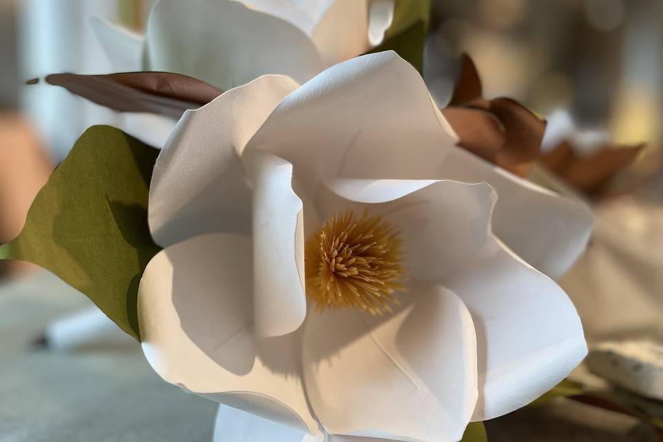 MAGNOLIA