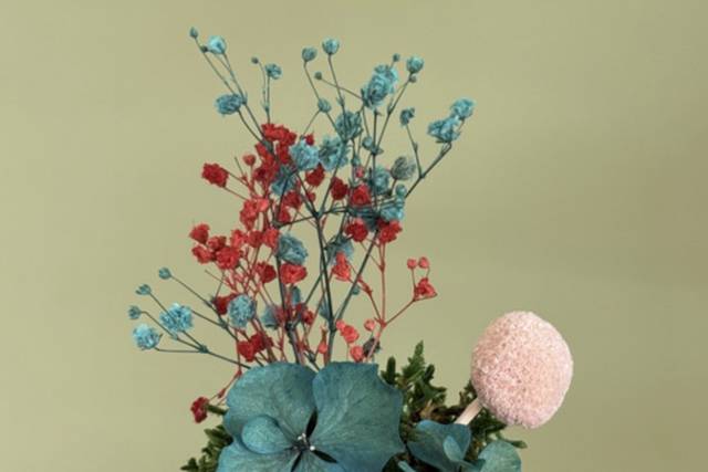 Kokedama stabilizzati