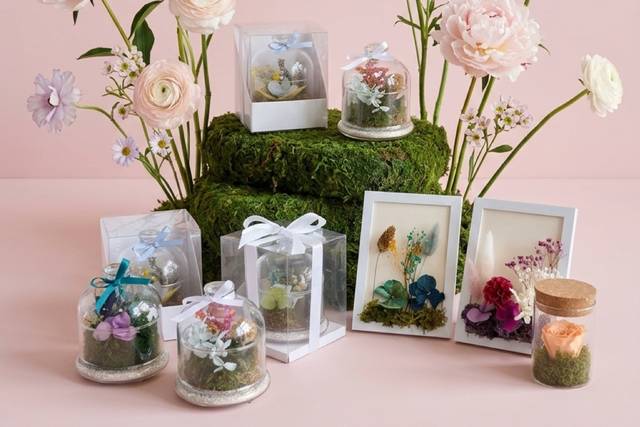 Madre Terrarium