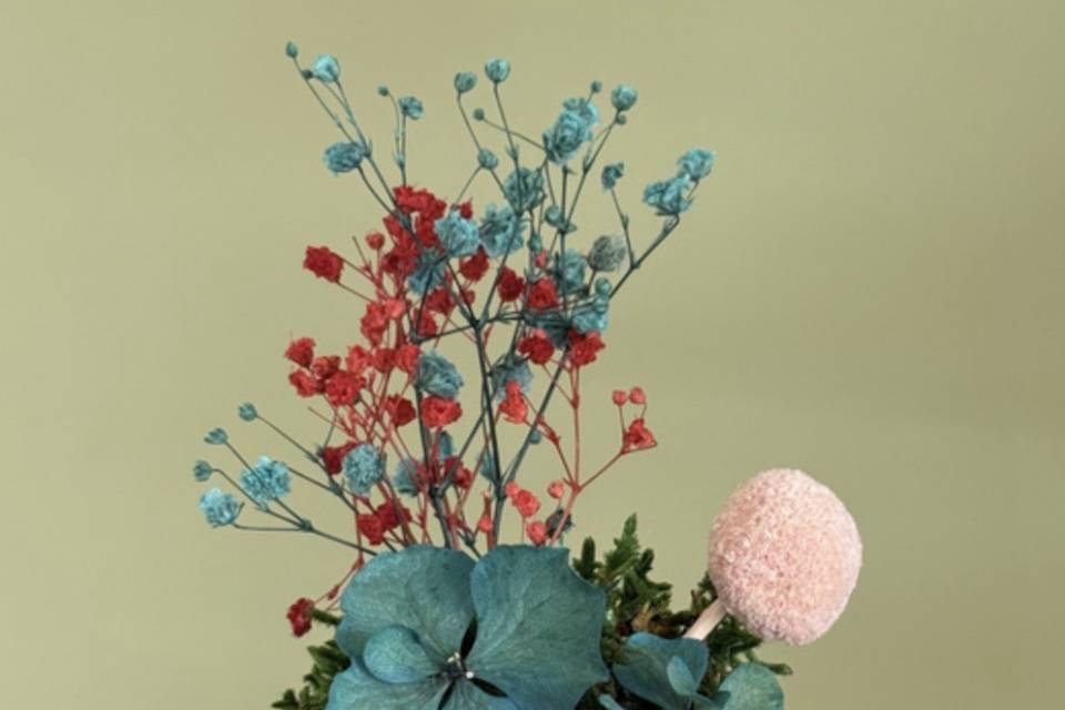 Kokedama stabilizzati