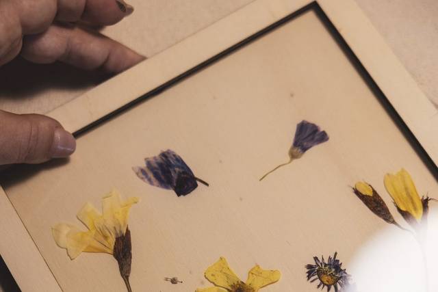 Cornici con fiori essiccati