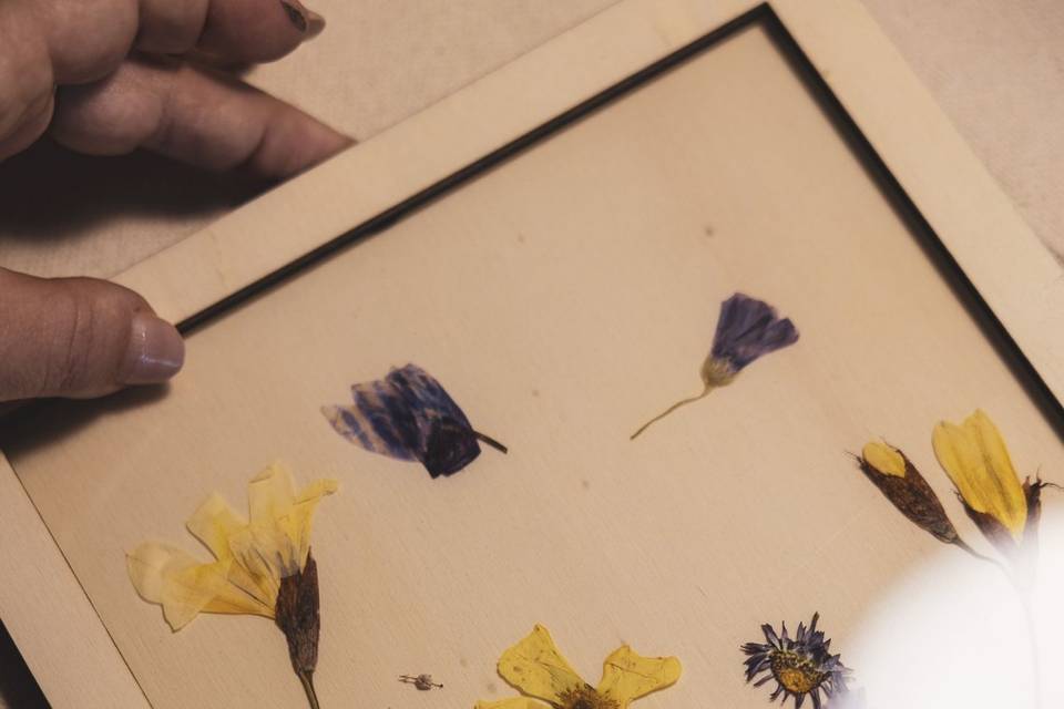 Cornici con fiori essiccati