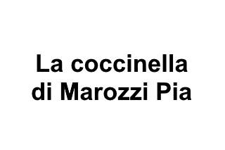 La coccinella di Marozzi Pia