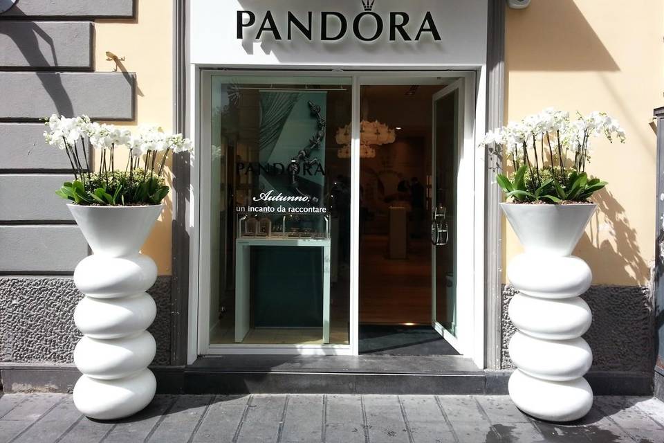 Allestimento evento pandora