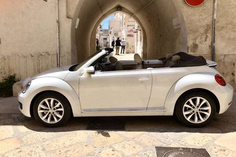 Maggiolino