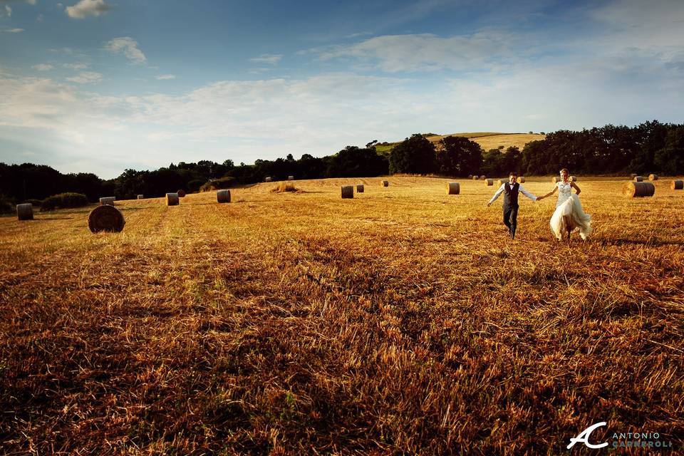 Corsa campo di grano