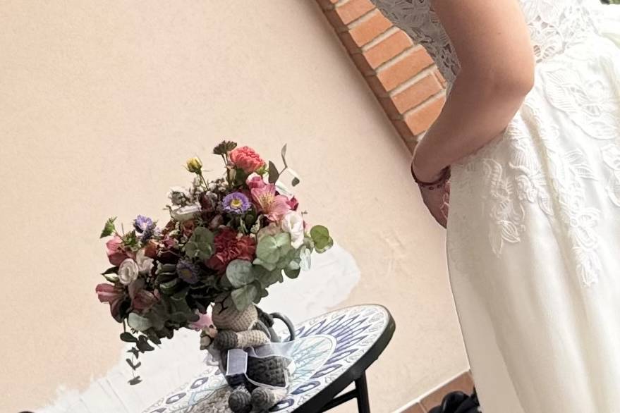 Paola 26/725