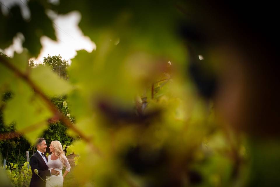 Fotografo-matrimonio-vigne