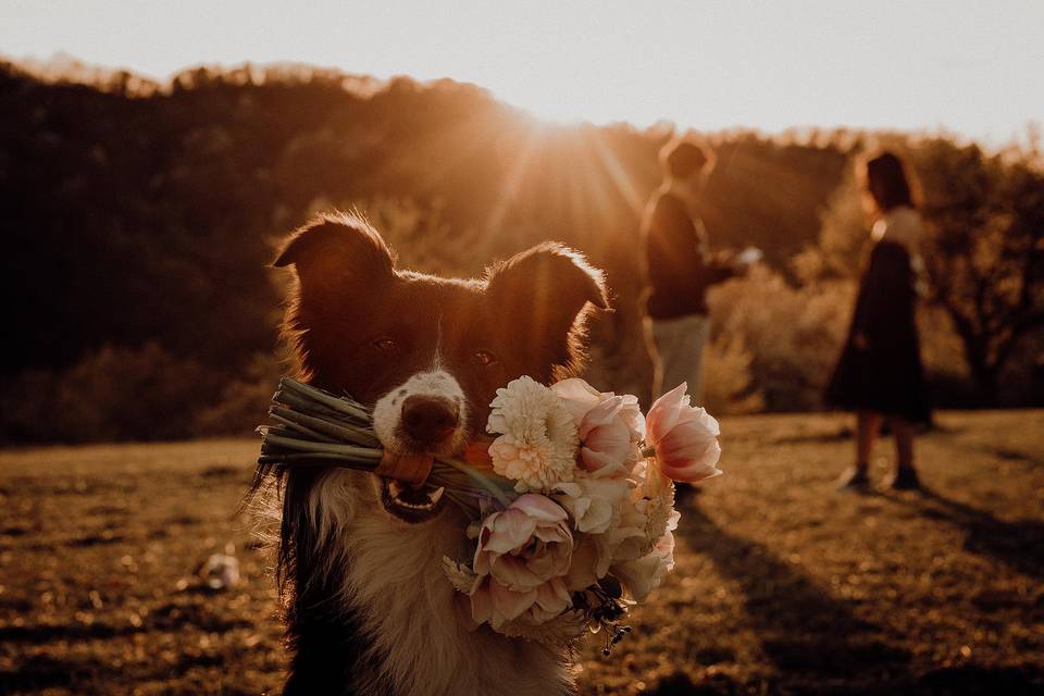 Dustin con bouquet