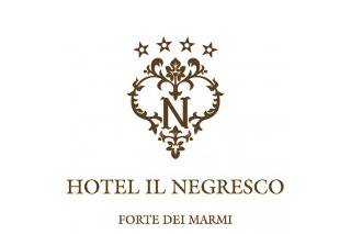 Hotel Il Negresco logo