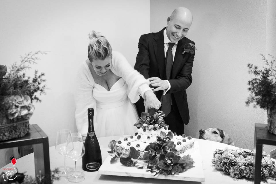 Il taglio della torta