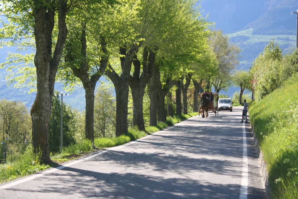 Valle d'aosta reale